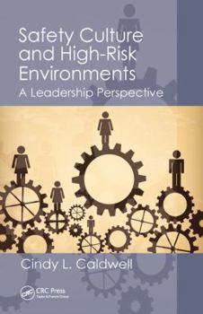 Paperback Safety Culture and High-Risk Environments: A Leadership Perspective Book