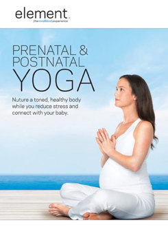 DVD Element: Prenatal & Postnatal Yoga Book