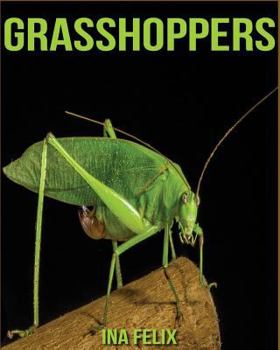 Paperback Grasshoppers: Children Book of Fun Facts & Amazing Photos on Animals in Nature - A Wonderful Grasshoppers Book for Kids aged 3-7 Book