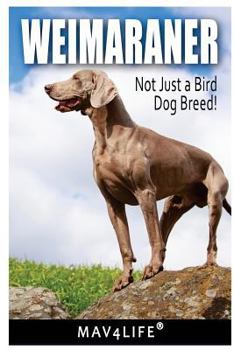 Paperback Weimaraner: Not Just a Bird Dog Breed! Book