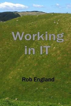 Paperback Working in IT Book