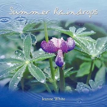Paperback Summer Raindrops Book