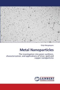 Paperback Metal Nanoparticles Book