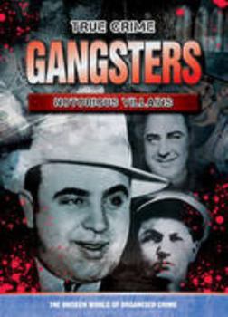 Hardcover Gangsters: Notorious Villians (True Crime) Book