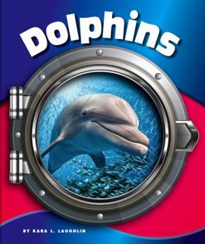 Dolphins - Book  of the In the Deep Blue Sea