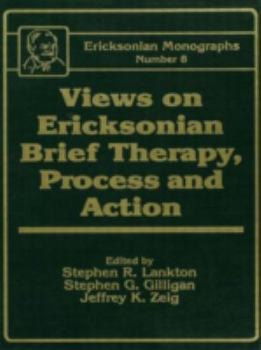 Hardcover Views on Ericksonian Brief Therapy Book