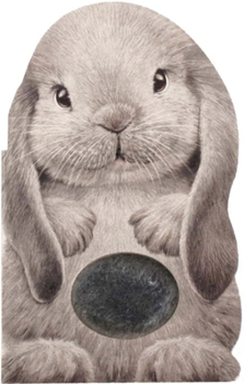 Board book Furry Bunny Book