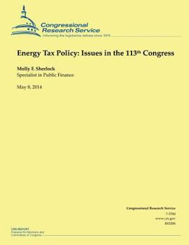 Paperback Energy Tax Policy: Issues in the 113th Congress Book