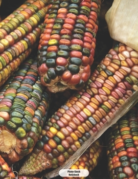 Photo-Stock Notizbuch: Mais Ernte Notizbuch 150 Seiten kariert - A4 Format - mattes Softcover