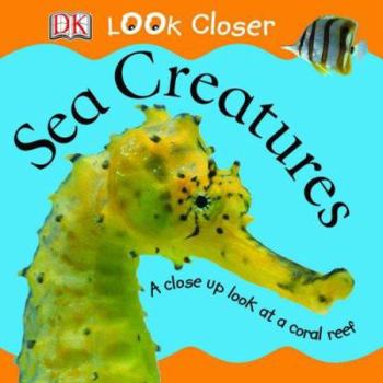 Hardcover Sea Creatures : Look Closer Book