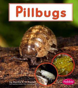 Hardcover Pillbugs Book