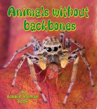 Library Binding Animals Without Backbones Book