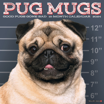 Calendar Pug Mugs 2024 12 X 12 Wall Calendar Book