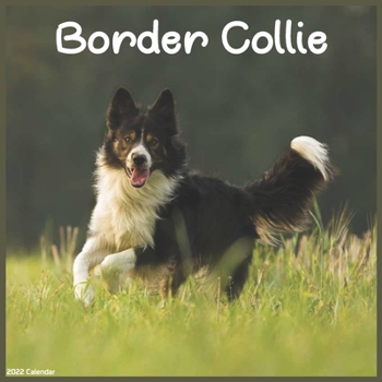 2022 Border Collie Calendar: Official Border Collie Dog breed 2022 Calendar 16 month