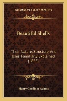 Paperback Beautiful Shells: Their Nature, Structure, And Uses, Familiarly Explained (1855) Book