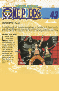 Library Binding Legend of a Hero. (One Piece, Vol. 43) Book