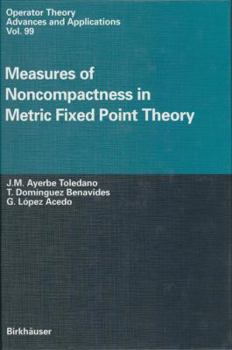 Paperback Measures of Noncompactness in Metric Fixed Point Theory Book