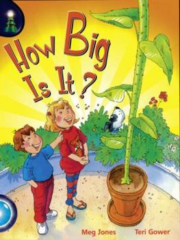 Paperback Lighthouse: How Big Is It? Book