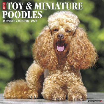 Calendar Just Toy & Miniature Poodles 2020 Wall Calendar (Dog Breed Calendar) Book