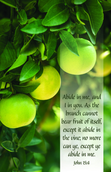 Misc. General Worship Bulletin: Abide in Me (Package of 100): John 15:4 (Kjv) Book
