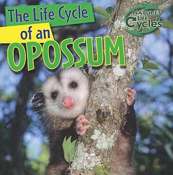 Library Binding The Life Cycle of an Opossum Book