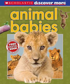 Hardcover Scholastic Discover More: Animal Babies Book