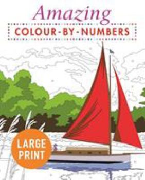 Paperback Amazing Colour-by-Numbers Large Print Book