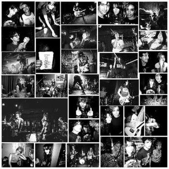 Vinyl Dismal Nitch Book