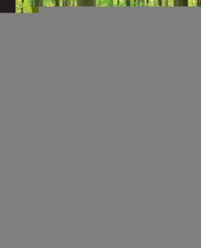 Paperback Mastering PhoneGap Mobile Application Development Book