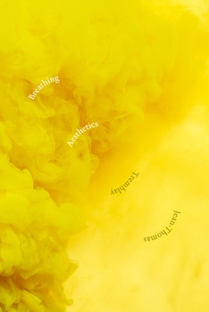 Paperback Breathing Aesthetics Book