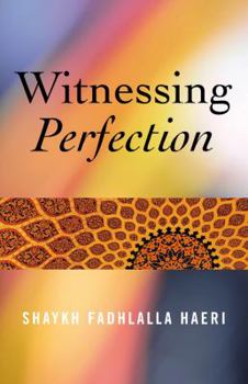 Paperback Witnessing Perfection Book