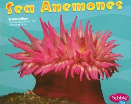 Paperback Sea Anemones (Pebble Plus. Under the Sea) Book