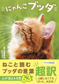 Paperback Buddha's Teaching with Kitty Cats [Japanese] Book