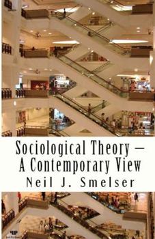 Paperback Sociological Theory - A Contemporary View: How to Read, Criticize and Do Theory Book
