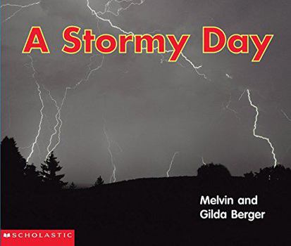 Paperback A Stormy Day Book