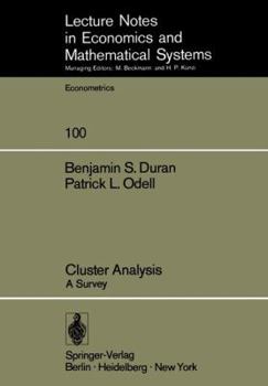 Paperback Cluster Analysis: A Survey Book