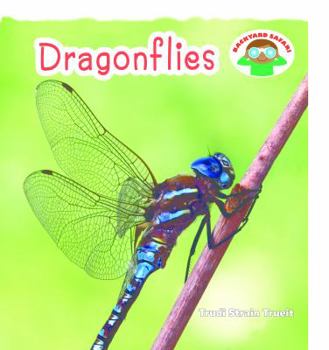 Paperback Dragonflies Book
