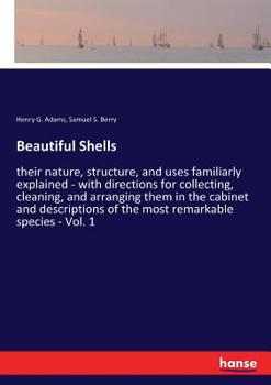 Beautiful Shells