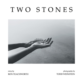 Paperback Two Stones Book