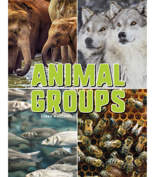 Paperback Animal Groups Book