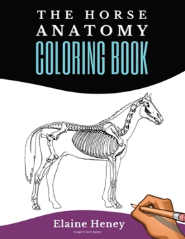 Paperback Horse Anatomy Coloring Book For Adults - Self Assessment Equine Coloring Workbook: Test Your Knowledge - For Equestrians & Veterinary Students Book