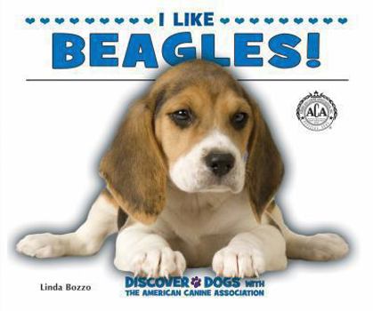 I Like Beagles! - Book  of the Discover Dogs with the American Canine Association