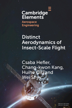 Paperback Distinct Aerodynamics of Insect-Scale Flight Book