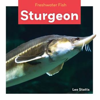 Sturgeon - Book  of the Freshwater Fish