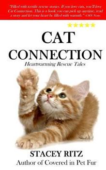 Paperback Cat Connection: Heartwarming Rescue Tales Book