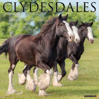 Calendar Clydesdales 2025 12 X 12 Wall Calendar Book