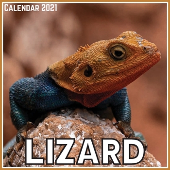 Paperback Lizard Calendar 2021: Official Lizard Calendar 2021, 12 Months Book