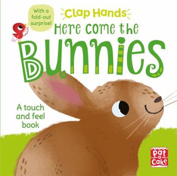Board book Clap Hands: Here Come the Bunnies Book