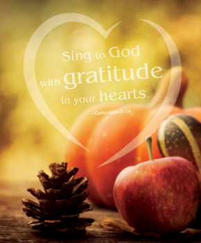 Loose Leaf Gratitude Thanksgiving Bulletin, Large (Pkg of 50) Book