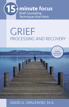 Paperback 15-Minute Focus: Grief: Processing and Recovery: Brief Counseling Techniques That Work Book